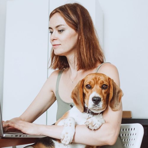 Síndrome postvacacional en los perros: la vuelta al trabajo